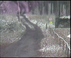 Nástup na běžecké tratě