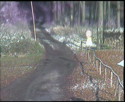 Nástup na běžecké tratě