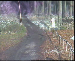 Nástup na běžecké tratě