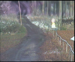 Nástup na běžecké tratě