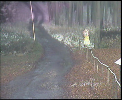 Nástup na běžecké tratě