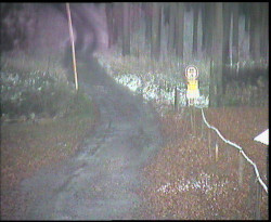 Nástup na běžecké tratě