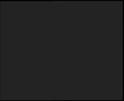 Nástup na běžecké tratě