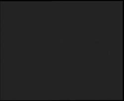 Nástup na běžecké tratě