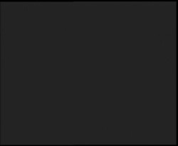 Nástup na běžecké tratě