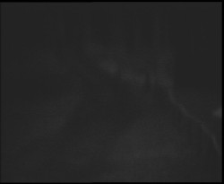 Nástup na běžecké tratě