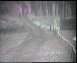 Nástup na běžecké tratě