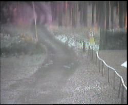 Nástup na běžecké tratě