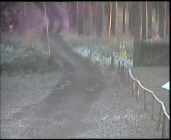 Nástup na běžecké tratě