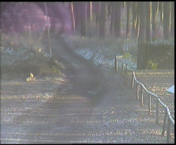 Nástup na běžecké tratě