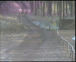 Nástup na běžecké tratě