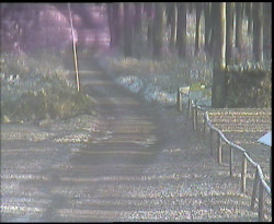 Nástup na běžecké tratě