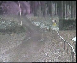 Nástup na běžecké tratě