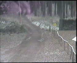 Nástup na běžecké tratě