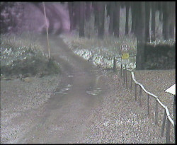 Nástup na běžecké tratě