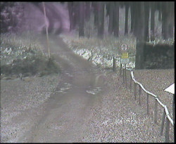 Nástup na běžecké tratě