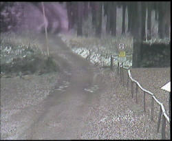 Nástup na běžecké tratě