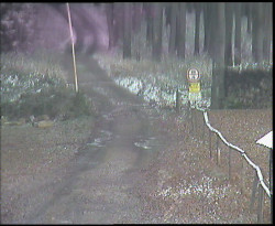 Nástup na běžecké tratě