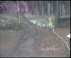 Nástup na běžecké tratě