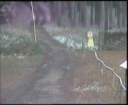 Nástup na běžecké tratě