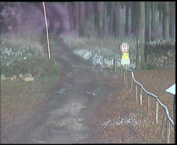 Nástup na běžecké tratě