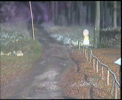 Nástup na běžecké tratě