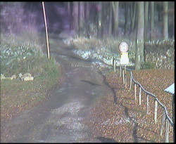 Nástup na běžecké tratě