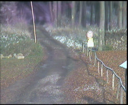 Nástup na běžecké tratě