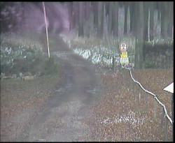 Nástup na běžecké tratě