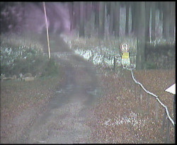 Nástup na běžecké tratě