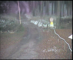 Nástup na běžecké tratě