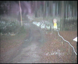 Nástup na běžecké tratě