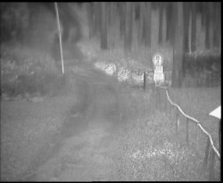 Nástup na běžecké tratě