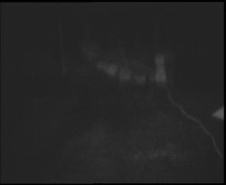 Nástup na běžecké tratě