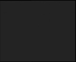 Nástup na běžecké tratě