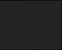 Nástup na běžecké tratě