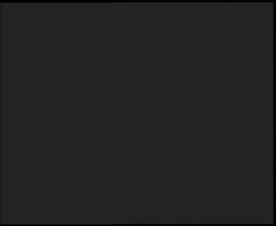 Nástup na běžecké tratě