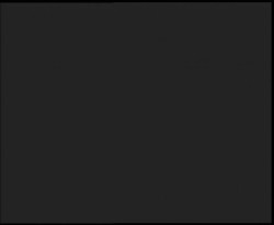 Nástup na běžecké tratě