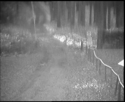 Nástup na běžecké tratě