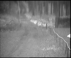 Nástup na běžecké tratě