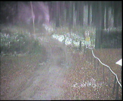 Nástup na běžecké tratě