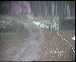 Nástup na běžecké tratě