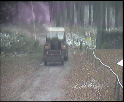 Nástup na běžecké tratě