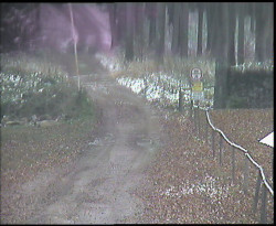 Nástup na běžecké tratě