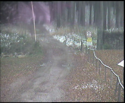 Nástup na běžecké tratě