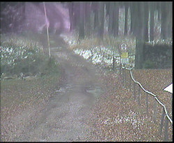 Nástup na běžecké tratě