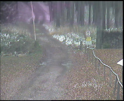 Nástup na běžecké tratě