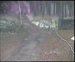 Nástup na běžecké tratě