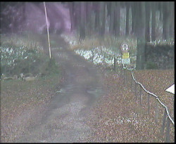 Nástup na běžecké tratě