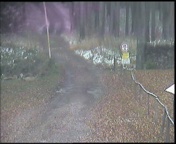 Nástup na běžecké tratě